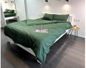 Постельное белье LARA бязь-страйп Green d11225e160 с простынью на резинке 160х200х25 евро 200х220 см