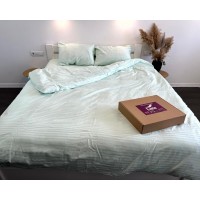 Постільна білизна LARA d13179e160 light green сатин-страйп LUX з простирадлом на резинці 160х200х25 євро