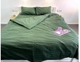 Постельное белье LARA бязь-страйп Green d11225p полуторное