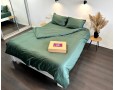 Постельное белье LARA d13183e160 green сатин-страйп LUX с простынью на резинке 160х200х25 евро