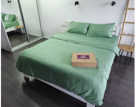 Постельное белье LARA сатин-страйп LUX sage d13233е160 с простынью на резинке 160х200х25 евро